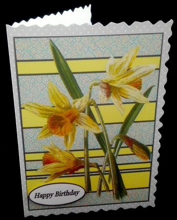 A Lovely Bunch of Daffs by Diane  Hitchcox