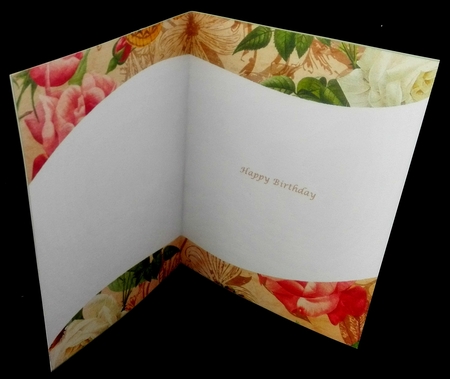 Floral Insert 3a by Diane  Hitchcox
