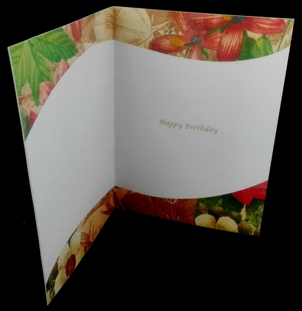 Floral Insert 6a by Diane  Hitchcox