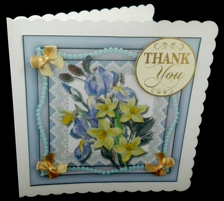 Beautiful Irises and Daffs  by Diane  Hitchcox