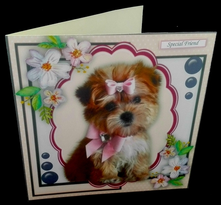 Lovely Pooch With Pink Bows by Diane  Hitchcox