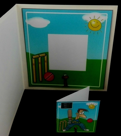 Keep Batting - Insert by Diane  Hitchcox