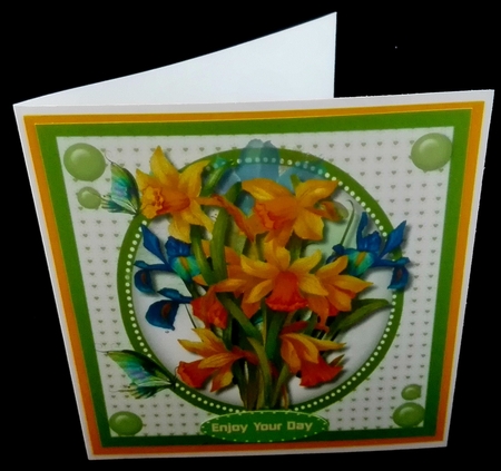 Beautifl Iris and Daffs by Diane  Hitchcox