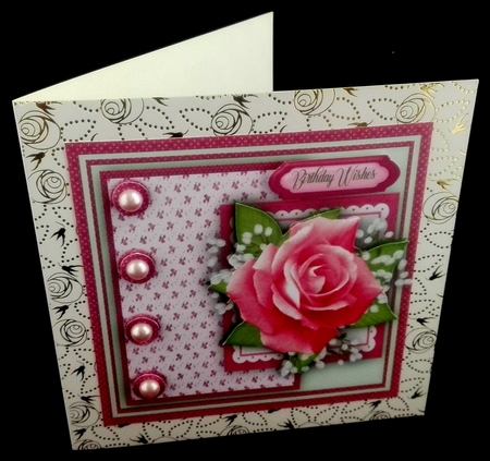 Beautiful Pink Rose  by Diane  Hitchcox