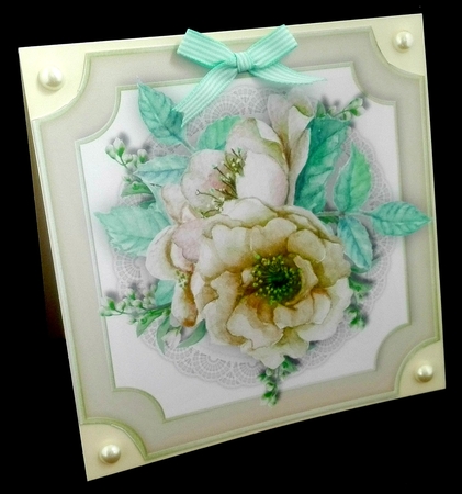Beautiful Cream French Roses by Diane  Hitchcox