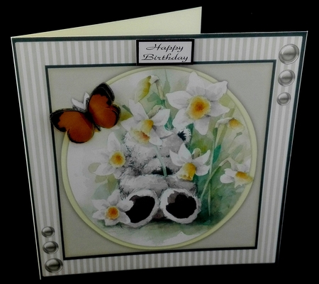 Peeking Behind The Daffs by Diane  Hitchcox