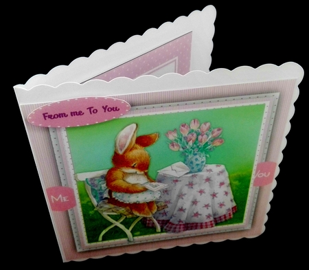 Mrs Rabbits Birthday by Diane  Hitchcox
