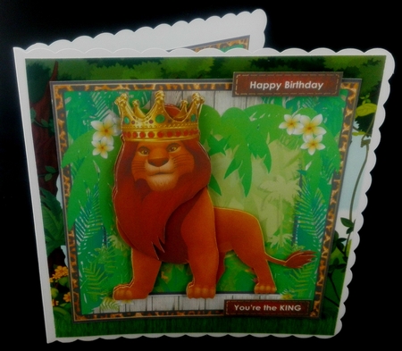 Lion King by Diane  Hitchcox