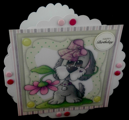 Cute Poppy  by Diane  Hitchcox