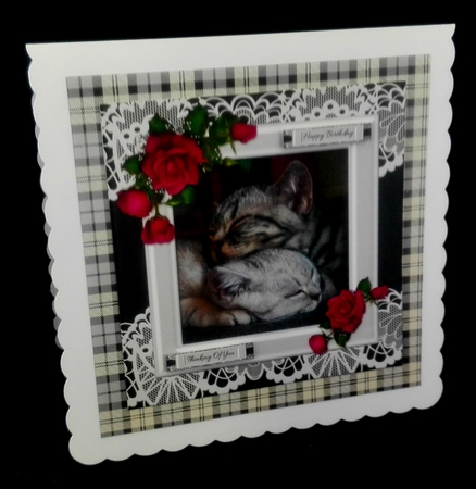 Cute Kittens Birthday Topper by Diane  Hitchcox