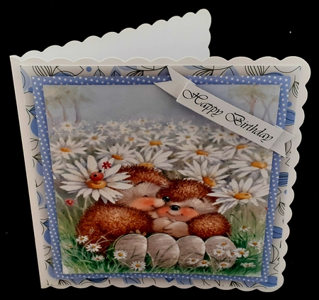 Hedgehogs Cuddles  by Diane  Hitchcox