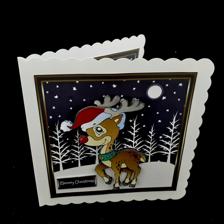 Rudolf the reindeer by Diane  Hitchcox