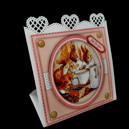 Peter Rabbits Wash Time   by Diane  Hitchcox