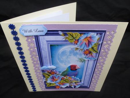 Rainbow Finch & Glorious Moonlight by Diane  Hitchcox
