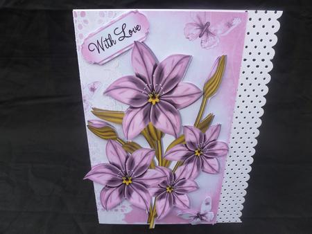 Pretty Pink Flowers on Broderie Anglaise & Butterflies by Diane  Hitchcox