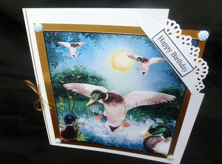 Duck Pond Splash with Decoupage by Diane  Hitchcox