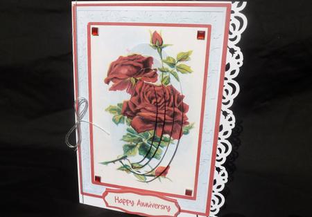 Beautiful Red Roses in Pyramid  by Diane  Hitchcox