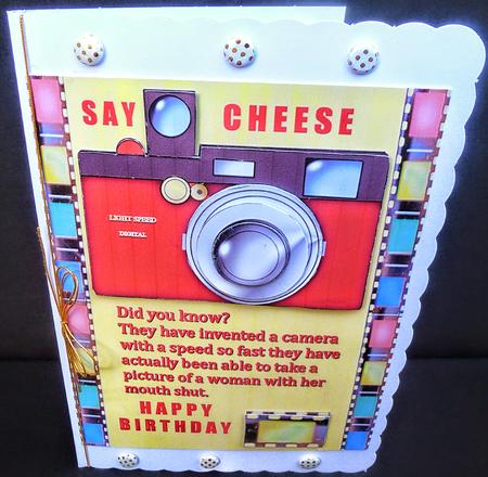 Camera Magic by Diane  Hitchcox