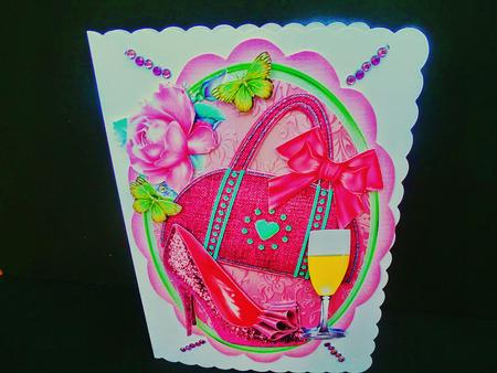 Ladies Accessories in a Oval Frame  by Diane  Hitchcox