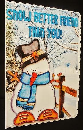 Snow Better Friend Than You! Snowman by Diane  Hitchcox
