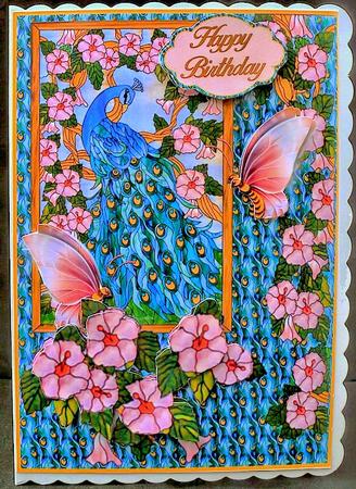 A Peacocks Tale by Diane  Hitchcox