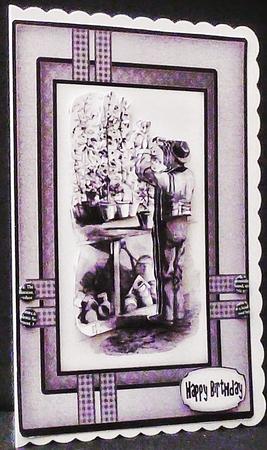 The Gardner Sbs by Diane  Hitchcox