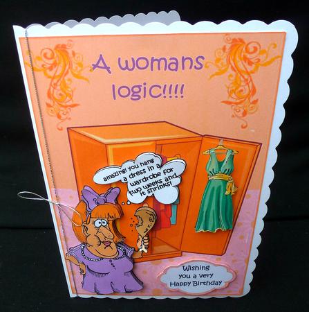 A Womans Logic by Diane  Hitchcox