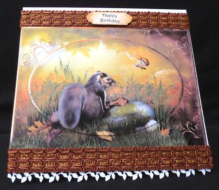 Timid Squirrel in the Woods by Diane  Hitchcox