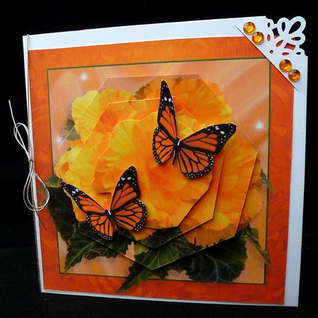 Golden Begonias by Diane  Hitchcox