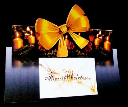 Xmas Greeting by Diane  Hitchcox