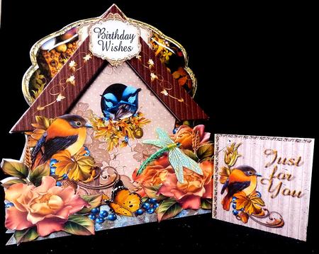 Birdhouse Shaped Card Plus Gift Card by Diane  Hitchcox