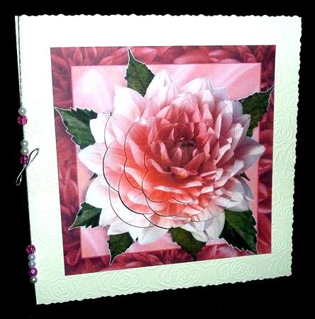 Gorgeous Dahlia by Diane  Hitchcox