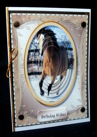 Beautiful Horse Galloping in the Snow  by Diane  Hitchcox