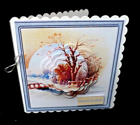 The Lake Side Petal Stacker Card by Diane  Hitchcox