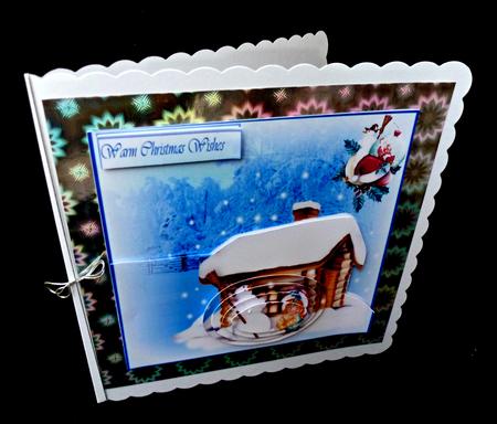 Warm Christmas Wishes by Diane  Hitchcox