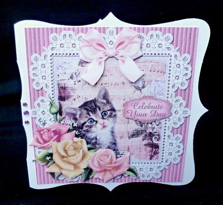 Birthday Kitten by Diane  Hitchcox