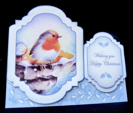 Blue Robin Large Fancy Stand Up Card N Envelope Kit by Diane  Hitchcox