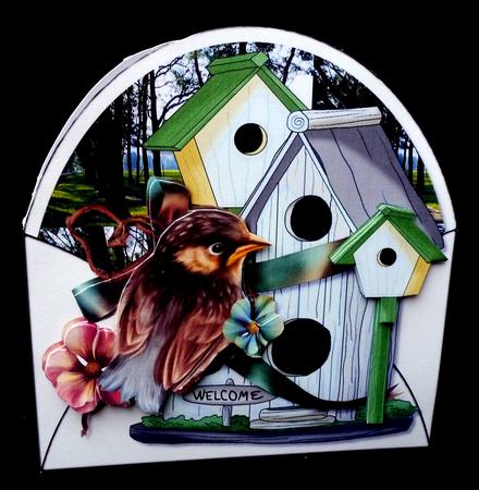 Male Envelop Card Birdhouses by Diane  Hitchcox