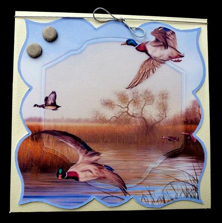 Marshland Bird Plaques by Diane  Hitchcox