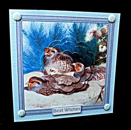 Partridges and Thistles Card with Petal Stacker by Diane  Hitchcox
