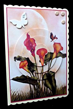 Calla Lilies Circle Pyramage by Diane  Hitchcox