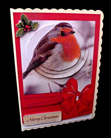 Lovely Robin in a Frame with Big Bow Oval Pyramids by Diane  Hitchcox
