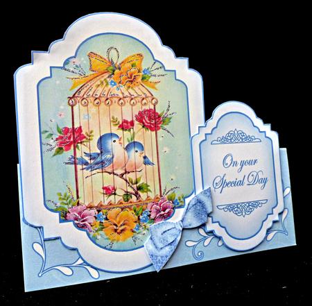 Love Birdcage Large Fancy Stand Up Card N Envelope Kit by Diane  Hitchcox