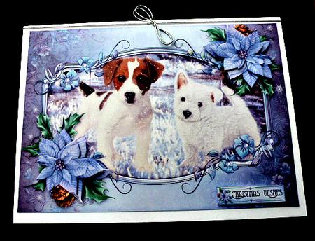 Snow Dogs by Diane  Hitchcox