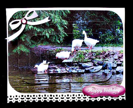 Ducks Going for a Swim Pyramage by Diane  Hitchcox