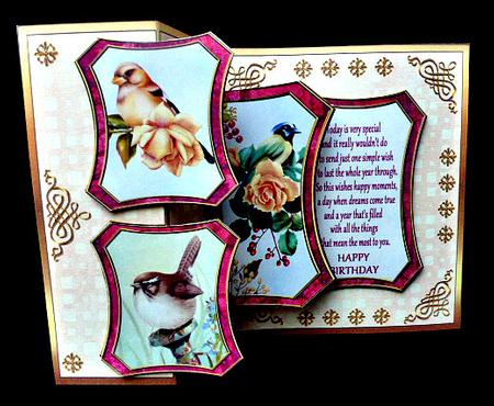 Fold Back Pop-up - Feathered Friends 2 by Diane  Hitchcox