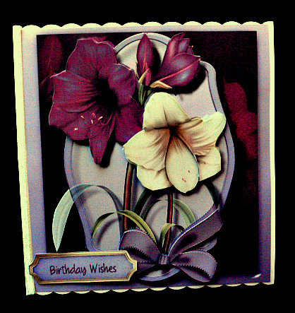 Beautiful Amaryllis 8x8 Mini Kit  by Diane  Hitchcox