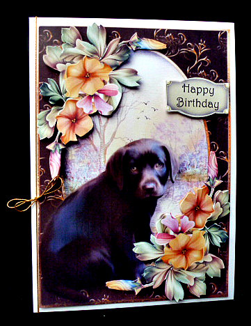 Gorgeous Chocolate Labrador Puppy by Diane  Hitchcox