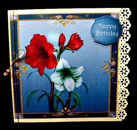 Amaryllis Red & White by Diane  Hitchcox