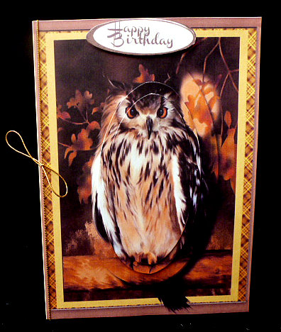 Beautiful Owl in Oval Pyramid  by Diane  Hitchcox